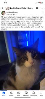 Lost and Found Pets- Cape Breton