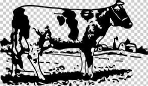 Check spelling or type a new query. Jersey Cattle Milk Farm Dairy Cattle Png Clipart Agriculture Art Barn Black And White Cattle Like