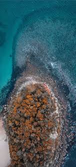 Birds Eye View Photography Definition Pin On Soo Cute