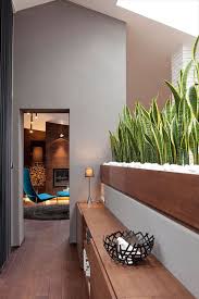 Snake plant (sansevieria) does everything it can to sort out the humidity in your home, so that your the snake plant is used to a bit of warmth, since it comes from the deserts of ethiopia, amongst other. Snake Plants The Most Tolerant And Easy To Care For Succulents