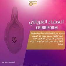 استكمالا موضوع البعبع غشاء البكارة هنتكلم النهاردة عن أنواع غشاء البكارة ولتسهيل ال المعلومة كتبنا أهم المعلو incoming call screenshot incoming call hospital