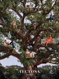 Image result for Tectona