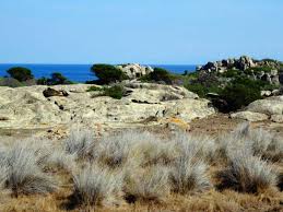 Find cheap deals and discount rates that best fit your budget. Bild Landschaft Auf Asinara Zu Insel Asinara In Stintino