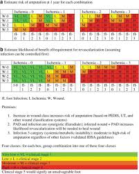 Image result for IDSA Diabetic Foot Wound Classification