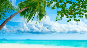 Beautiful cool hd beach wallpaper background images collection for desktop, laptop, mobile phone, tablet and other devices. 192 1920 1080 Hd Wallpapers Beach