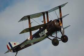 Deadly in the hands of a novice, many a student was killed while learning to fly the camel, but in the hands of a skilled pilot. Sopwith Triplane Wikipedia