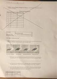 Use dichotomous keys to identify and classify five types of organisms: Student Exploration Dichotomous Keys Vocabulary Chegg Com