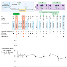 Image result for Refractory Depression Management