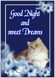 Good Night Sweet Dreams Good Night Sweet Dreams Good Night Wishes Night Wishes