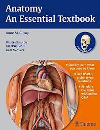Eventually leading to a regular outflow of toxins from the client's anatomy and enhancing the immune system. Anatomy An Essential Textbook Pdf Free Download