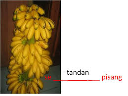 Baris, berkas, ikat, jambak, kawan, gugus, rangkai, deret. Ppt Mencari Penjodoh Bilangan Powerpoint Presentation Free Download Id 3671883
