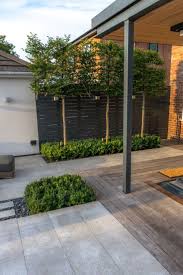 Hornbeam Plisado Diseno De Jardines Hornbeam Jardines Plisado In 2020 Contemporary Garden Design Garden Design Backyard Landscaping