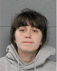 ᐅ Illinois Criminal Records 2009-2025