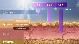 Basal cell carcinoma, squamous cell carcinoma) based on medicare records. Non Melanoma Skin Cancer Youtube