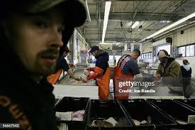 69 Portland Fish Auction Stock Photos, High-Res Pictures, and Images