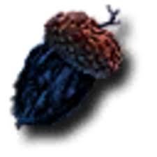 Roblox gift card generator is simple online utility tool by using you can create n number of roblox gift voucher codes for amount $5, $25 and $100. Magic Acorn Witcher Wiki Fandom