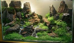 This Is Aquascaping At It S Finest Planted Aquarium Ikan Akuarium Desain Akuarium