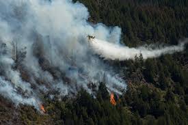 Los incendios avanzan y hay mucha preocupación entre los habitantes de el bolsón y los alrededoresmarcelo martínez. Alerta En El Bolson Por El Viento Se Expande El Fuego Y Esta Cada Vez Mas Cerca La Nacion