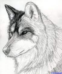 Pin On Drawing