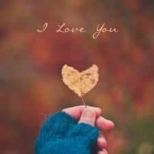 I Love You Mobile Wallpaper And Whatsapp Dp Dazzling Wallpaper Types Of Earrings Whatsapp Dp Images Womens Fashion Jewelry