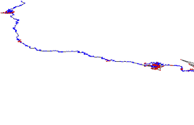 Image result for Oldfieldia macrocarpa