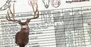 We would like to show you a description here but the site won't allow us. B C World S Record Typical Mule Deer Boone And Crockett Club