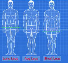 Run away on its short, stubby legs, dig, or curl up. Jeans For Short Guys The Complete Guide To Our Collection Under 5 10