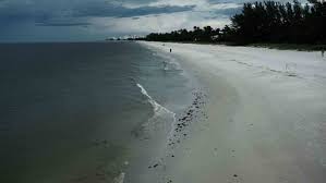 red tide levels jump in southwest florida the weather channel