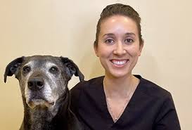 CARE Veterinary Center