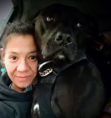 Lost cat Rusty in NF South Avenue and 24th area of WNY