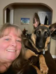 This is our GS, hè is almost 9,5 years old but still looking Beautiful  ❤️❤️❤️