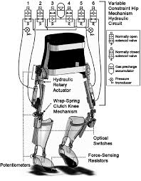 Make sure this fits by entering your model number.; Exoskeletal Components Of Hybrid Neuroprosthesis Knee Joints Are Download Scientific Diagram