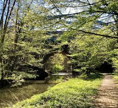 Wandern Ab Aumuhle Entlang Von Bille Und Sachsenwald Paden En Reis