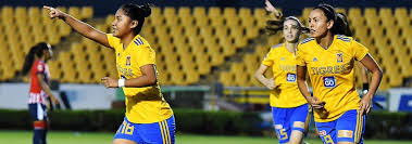 There are few vertical lines on the away kit of tigres fc. News Tipo De Nota Tigres Uanl