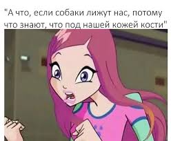 мультик леди баг и супер кот на русском языке Fotografiya Veselye Memy Smeshnye Memy Rabochie Memy