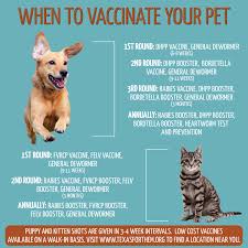 I pay zero for my cats' yearly shots. What Vaccines Does My Dog Need Tcap Affordable Spay Neuter And Vaccinations