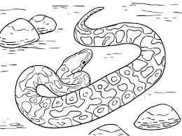 King cobra coloring page beautiful anaconda coloring pages viewing. Anaconda Coloring Pages Coloring Pages