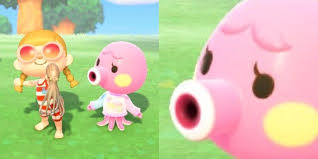 Brother Animalcrossing In 2020 Animal Crossing Funny Animal Crossing Memes Animal Crossing