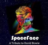David Bowie Tribute: SpaceFace
