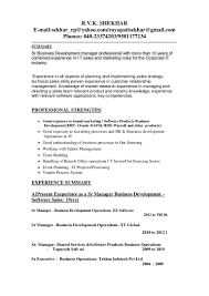 business development manager resume