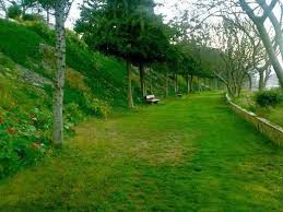 Abha L Photo Gallery Page 12 Scenic Destinations Abha Scenic