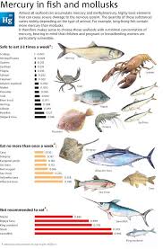 mercury levels in fish and mollusks be aware of what is in