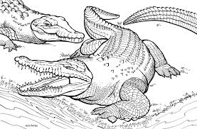 8 Crocodile Coloring Page Animal Coloring Pages Detailed Coloring Pages Shark Coloring Pages