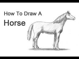 How To Draw A Horse Horse Drawings Creature Drawings Animal Drawings