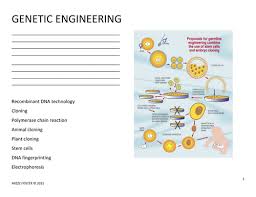 We did not find results for: Genetic Engineering Worksheet And Answer Key Teaching Resources
