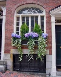 Windowbox7 Window Box Flowers Window Box Plants Window Boxes