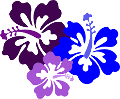 Hawaiian Flower Clip Art Hibiscus 23 Clip Art Vector Clip Art Online Royalty Free Public Hibiscus Clip Art Flower Clip Flower Clipart