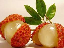 Manufacturer, exporter, distributor, wholesaler/retailer, others. Hot Sale Fresh Lychee Lychy Litchi Seeds Leechee Fruit Tree Seeds 3pcs Bag Litchi Seeds Buy Online In Andorra At Andorra Desertcart Com Productid 80494209