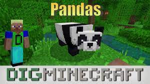 Taming pandas in minecraft can be as easy as playing fetch with it using bamboo! Panda In Minecraft