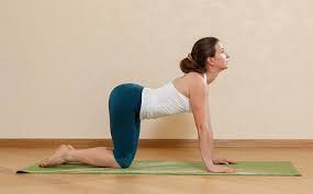 Pin On Fitness Inspiration